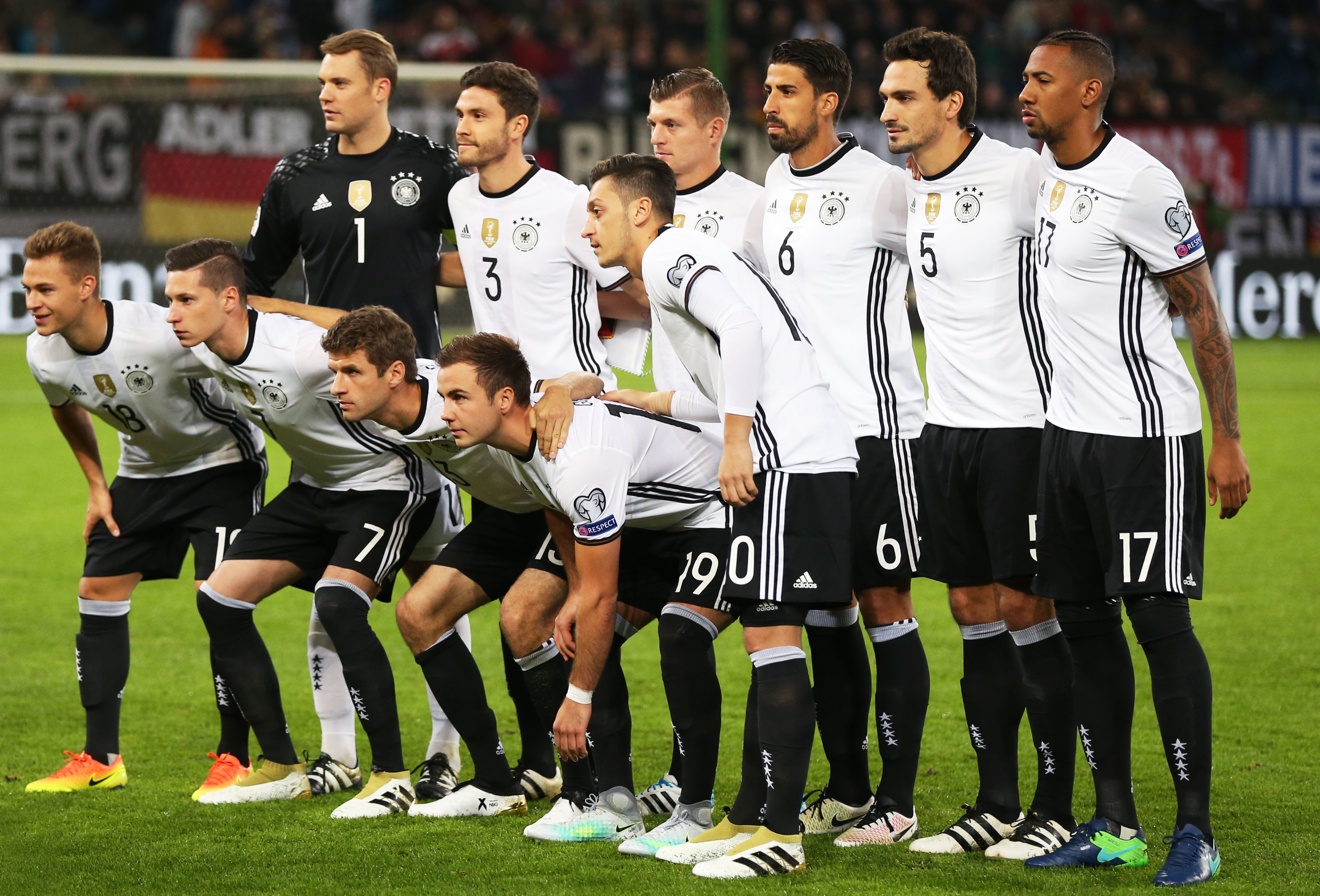 逐步建立起 逐步建立起